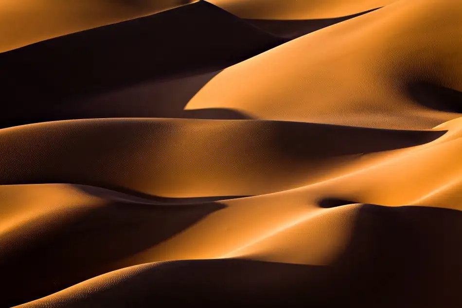 Momeni, Mohammadreza: Luz y sombra