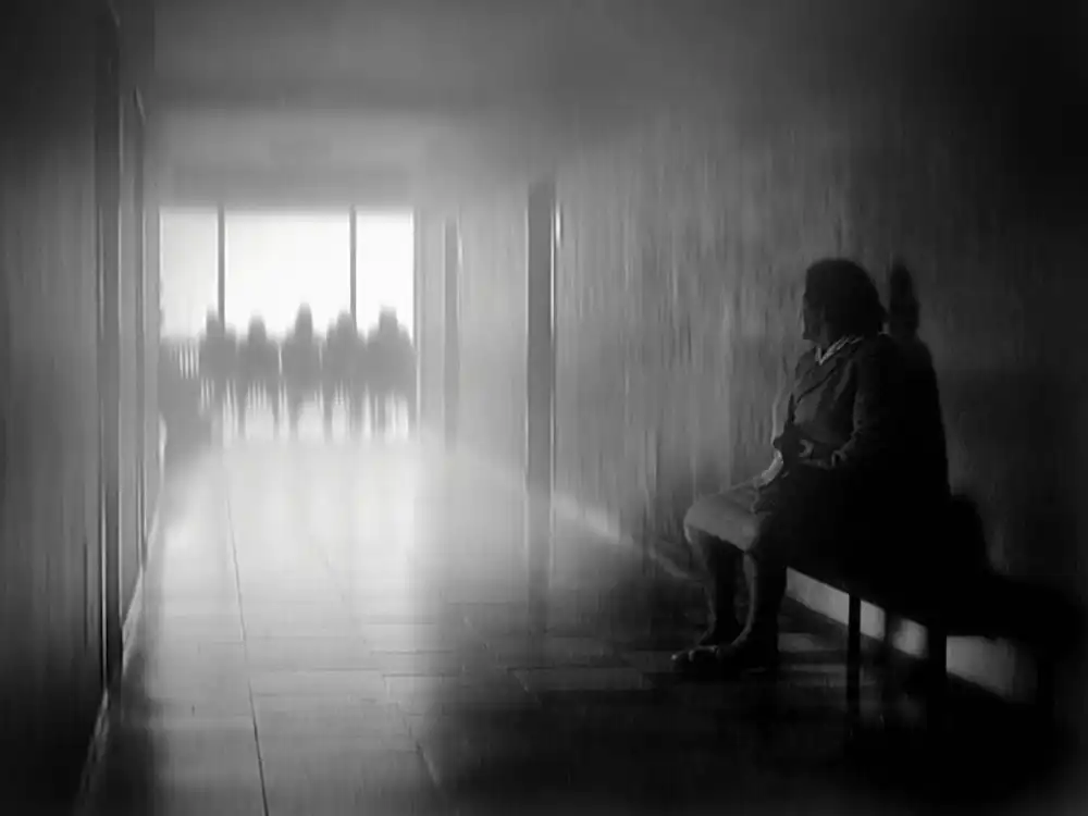 Droste, Holger: Schatten der Wahrheit