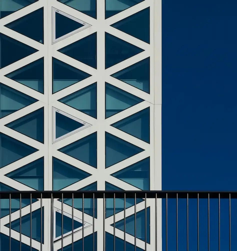 Jonkman, Gerard: El edificio X.