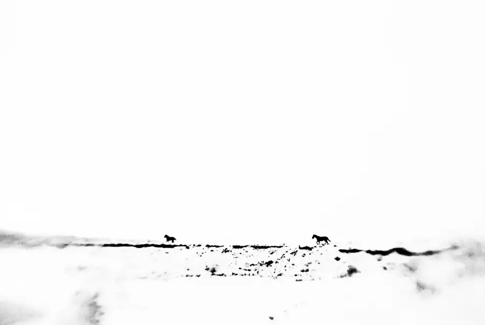 Lupei, Codrin: Nessun nome