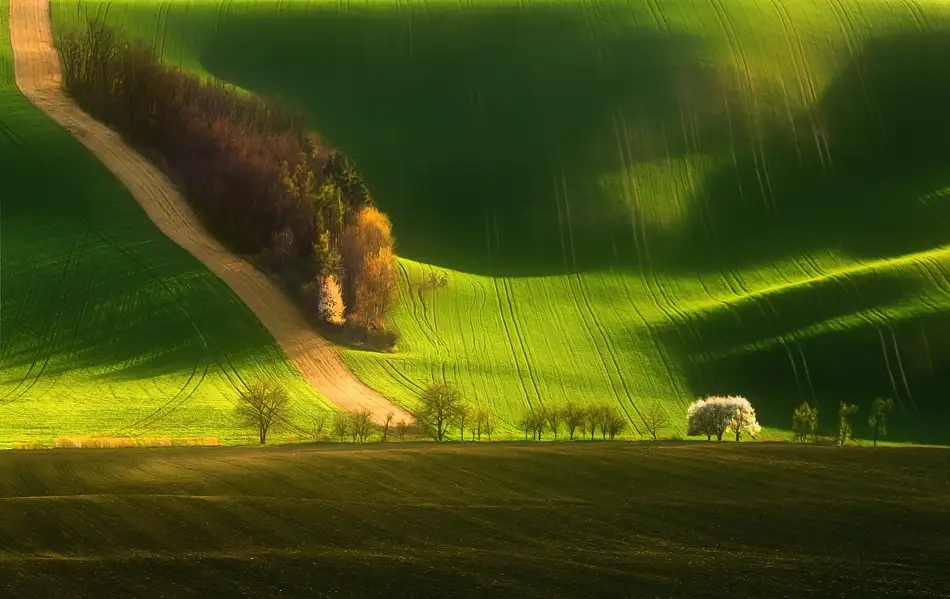Browko, Krzysztof: Primavera sui campi...