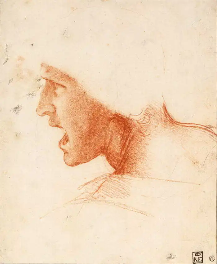 Vinci, Leonardo: Studie portrétu hlavy bojovníka v bitvě u Anghiari