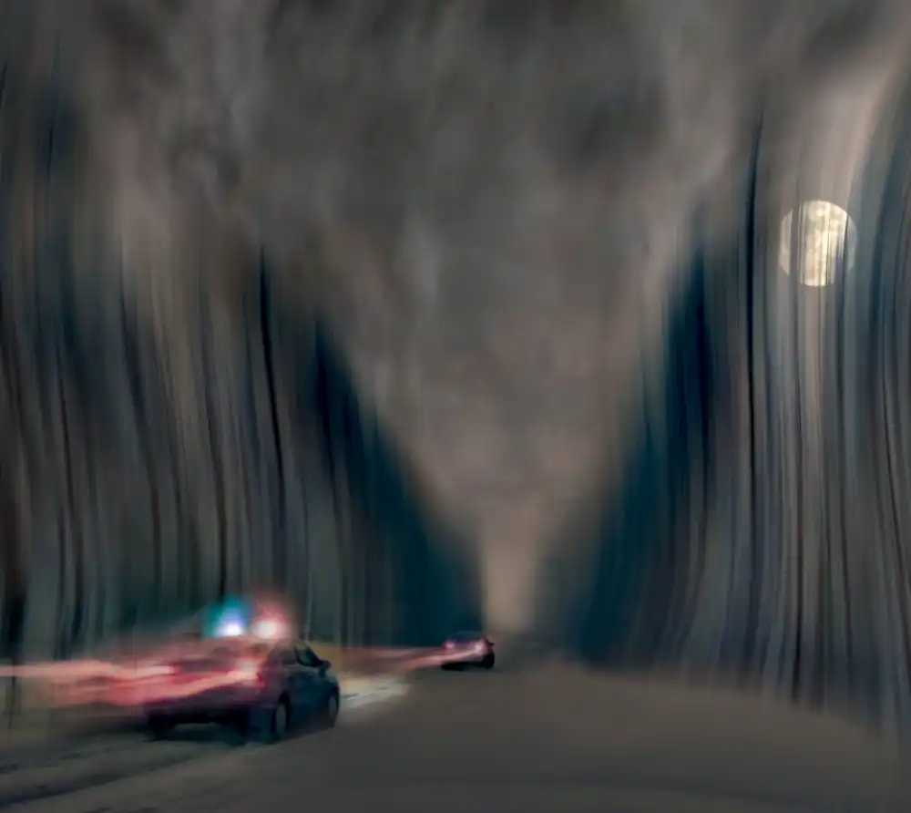 Senechal, David: Night pursuit