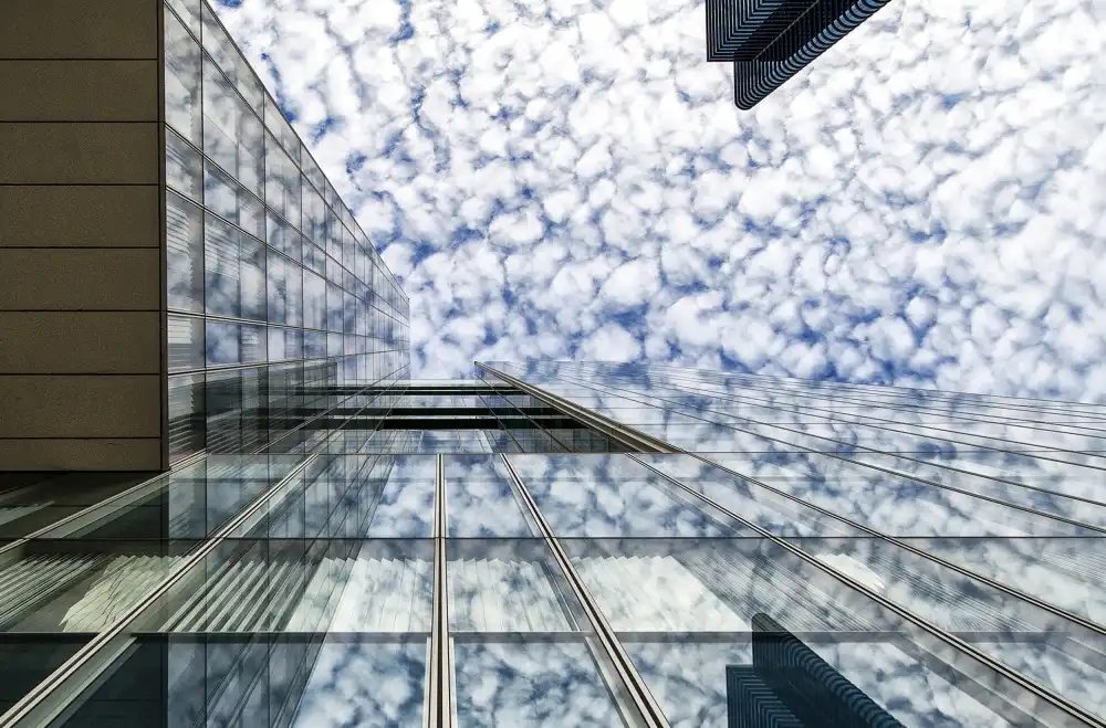 Jonkman, Gerard: Nubes lanudas