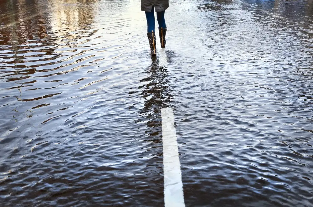 Wride, Linda: caminar por la línea