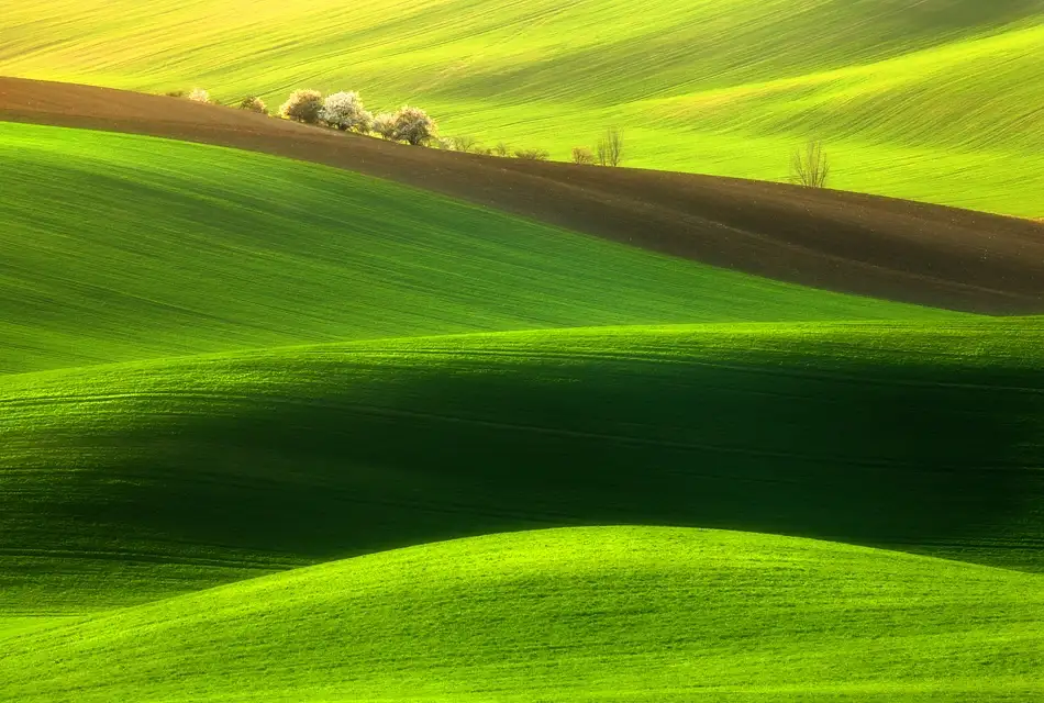 Browko, Krzysztof: Le printemps....