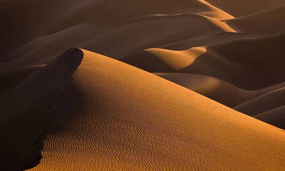 Momeni, Mohammadreza: Atardecer dorado