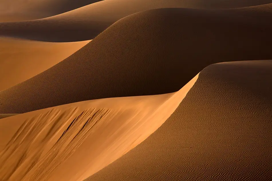 Momeni, Mohammadreza: danza de la luz