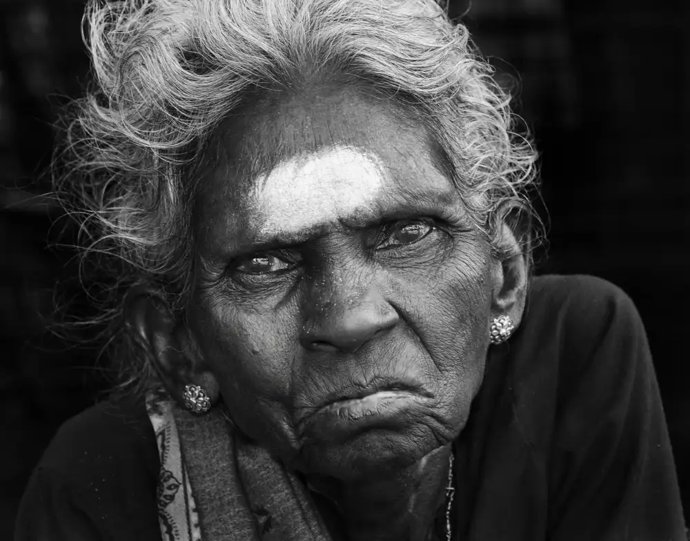 Urlings, Lou: The widow