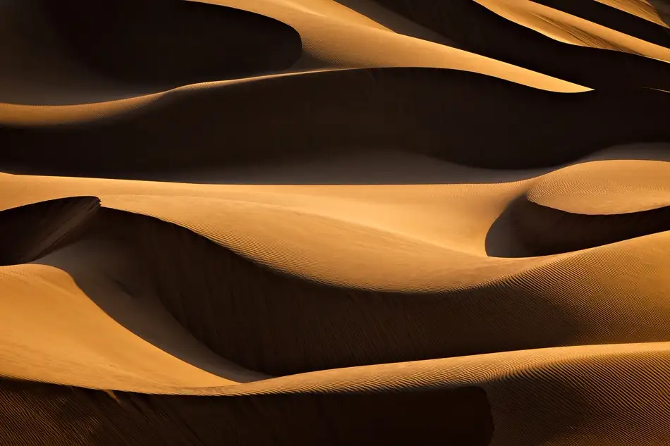 Momeni, Mohammadreza: Capas