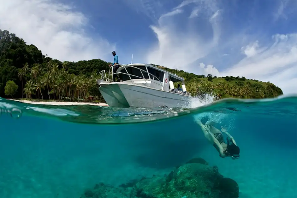 Narchuk, Andrey: Dive to Fiji