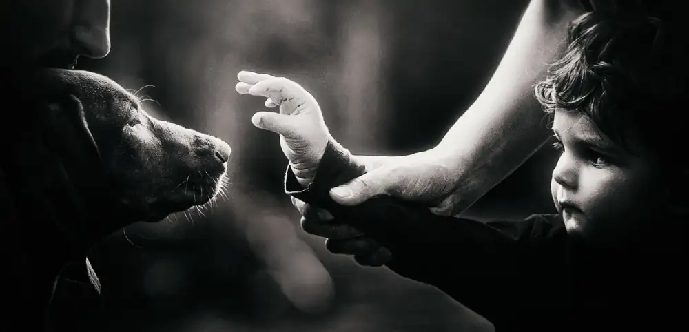 Knartist: La seule chose que nous devons craindre...