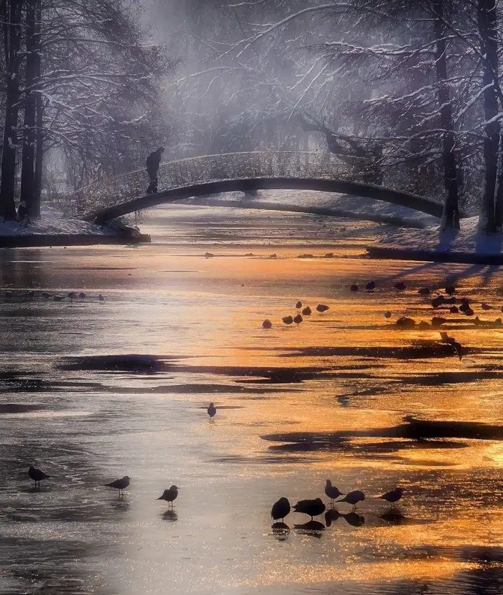 Andreescu, Cristian: frozen lake