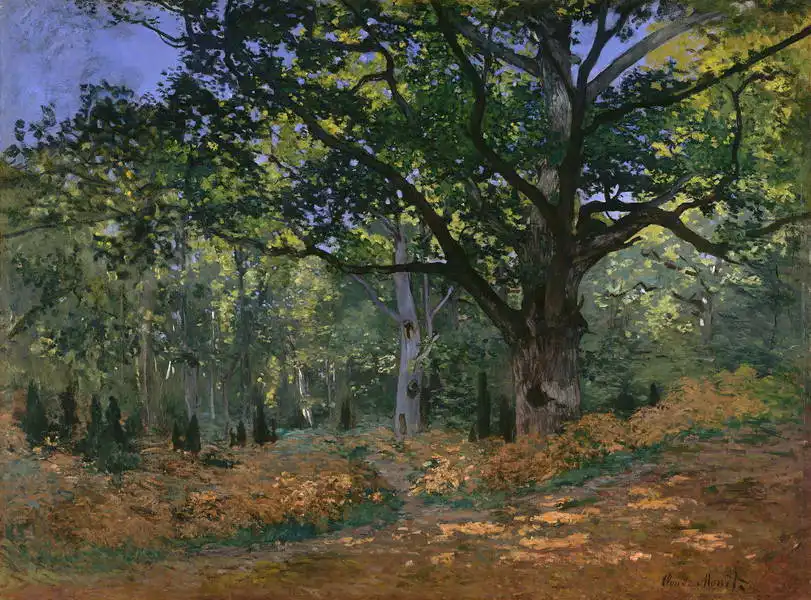 Monet, Claude: Bodmerský dub, les Fontainebleau