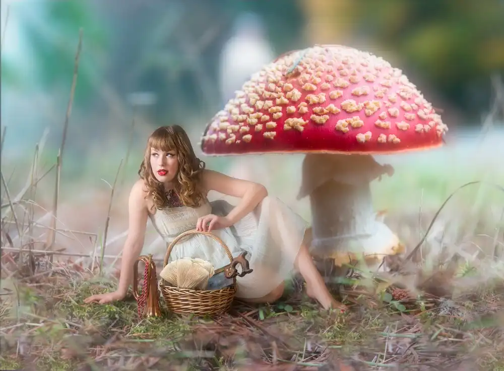 Galon, Derek: Cueilleur de champignons