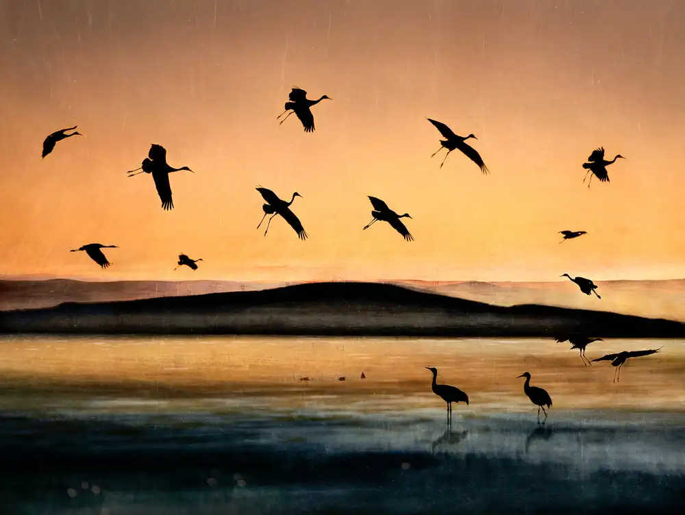 Dou, Shenshen: Vuelo al atardecer