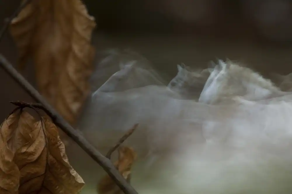 Malovrh, Milan: autunno