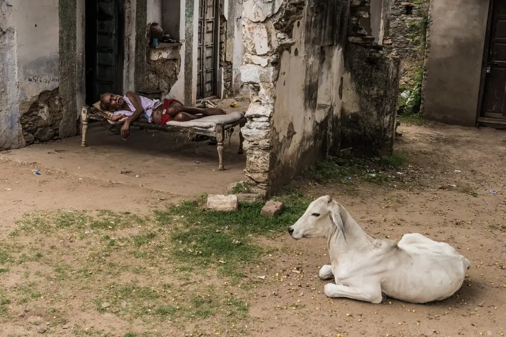 Alnaser, Mohammed: Nap Time