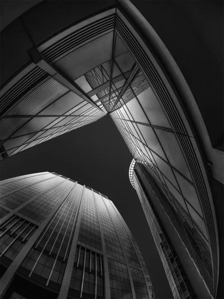 Houte, Van Jef: Dizziness