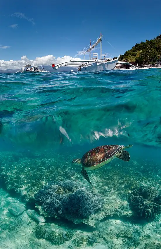 Narchuk, Andrey: Dive to Philippines