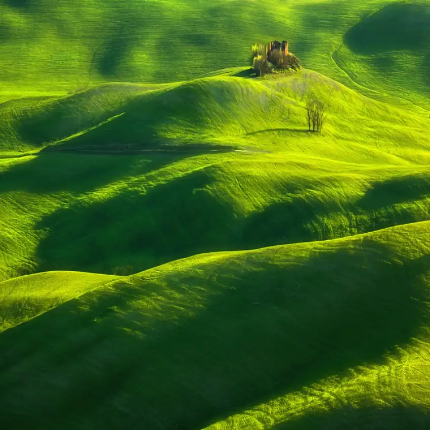 Browko, Krzysztof: Primavera...