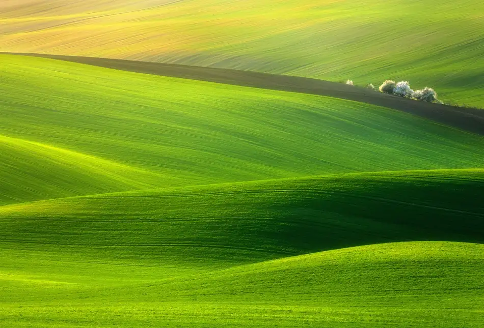 Browko, Krzysztof: Tempo di primavera...