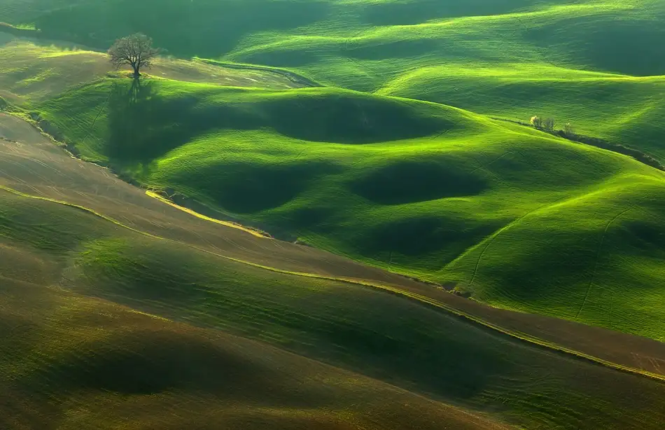 Browko, Krzysztof: Quercia...