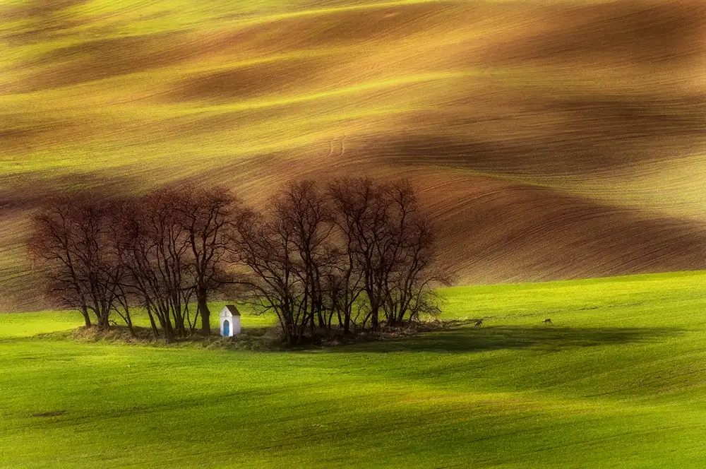 Krol, Bax Piotr: capilla de primavera