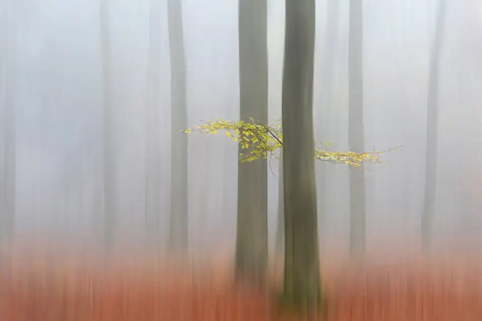Limberg, Huib: Autumnmorning
