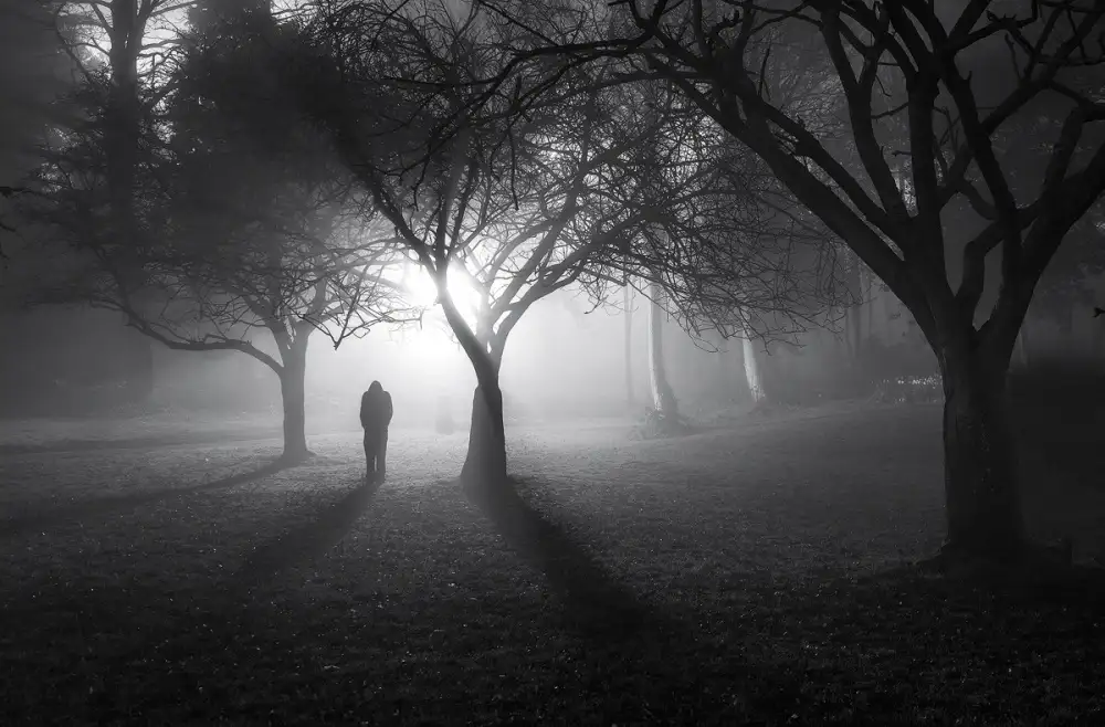Pancareken, Yavuz: In a Land of Mist !
