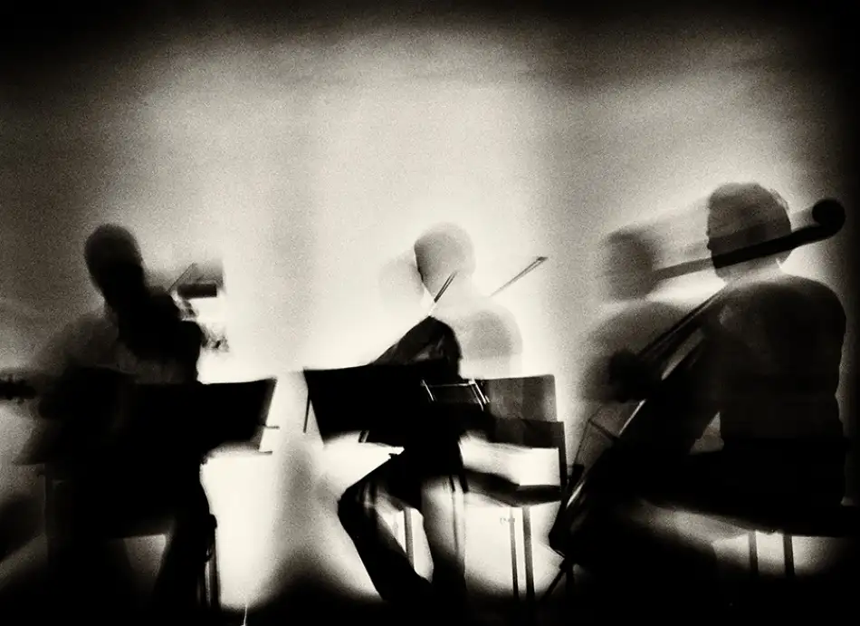 Momanu, Mirela: Olas de musica