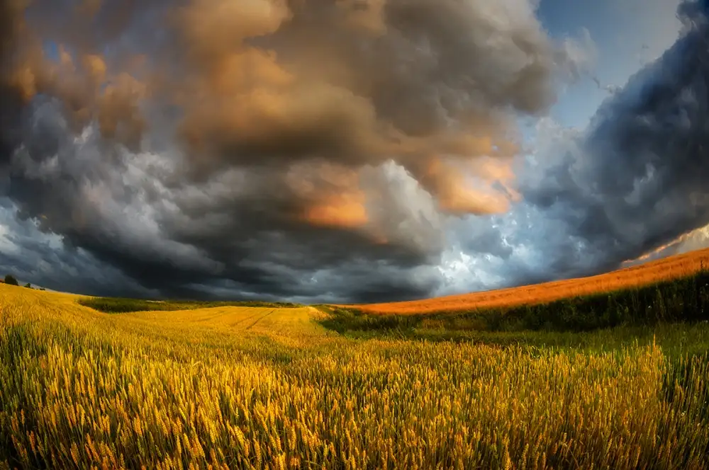 Krol, Bax Piotr: campos de tormenta