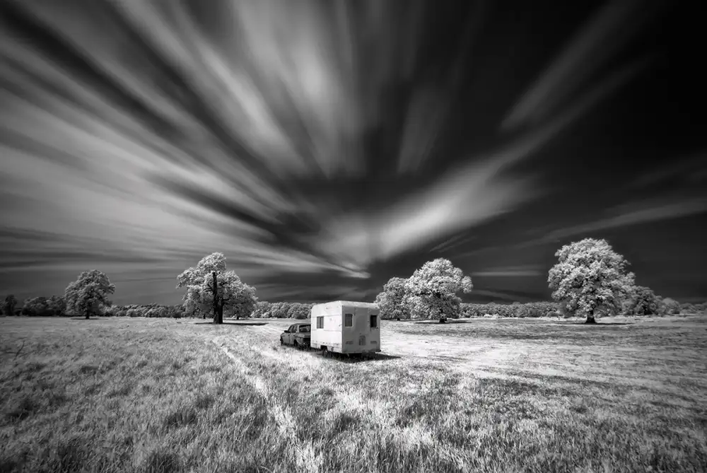 Krol, Bax Piotr: picnic