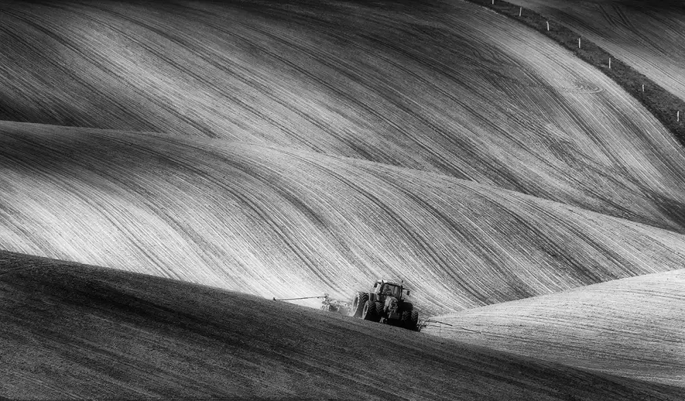 Krol, Bax Piotr: Siembra de Moravia