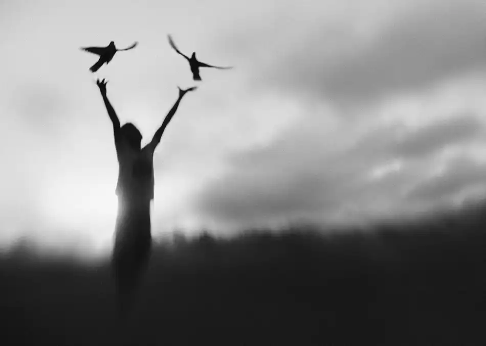 Kisworo, Sebastian: Vol libre
