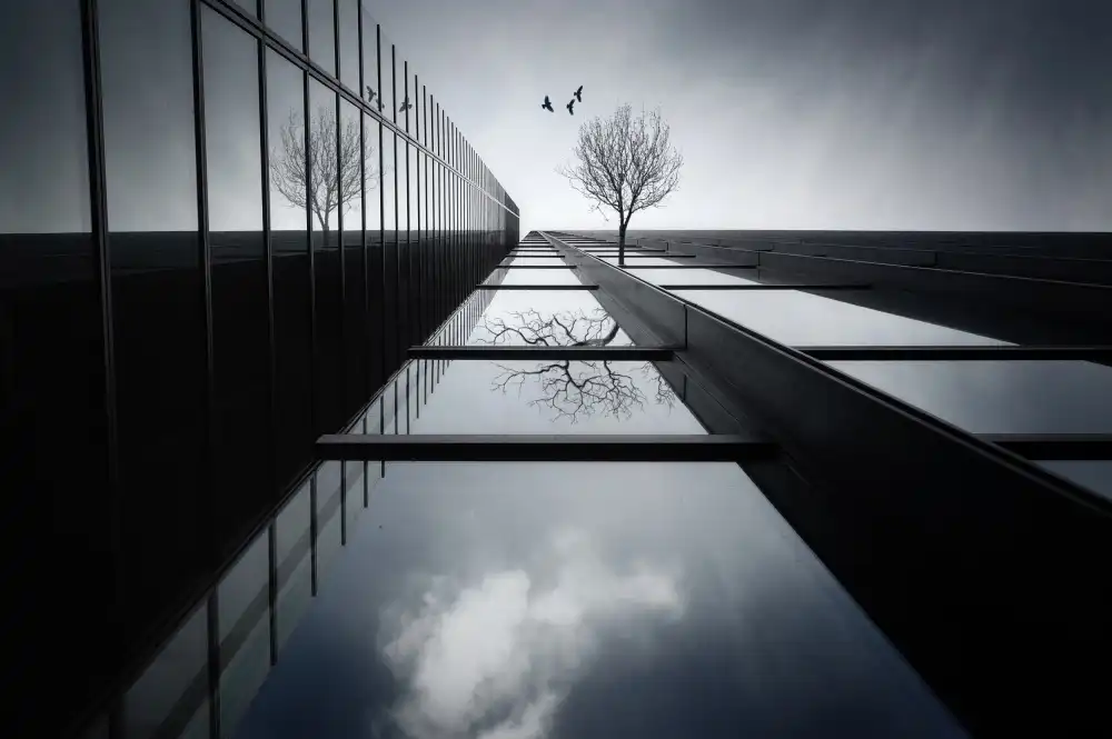 TAKAUE, Akira: El etéreo jardín volador