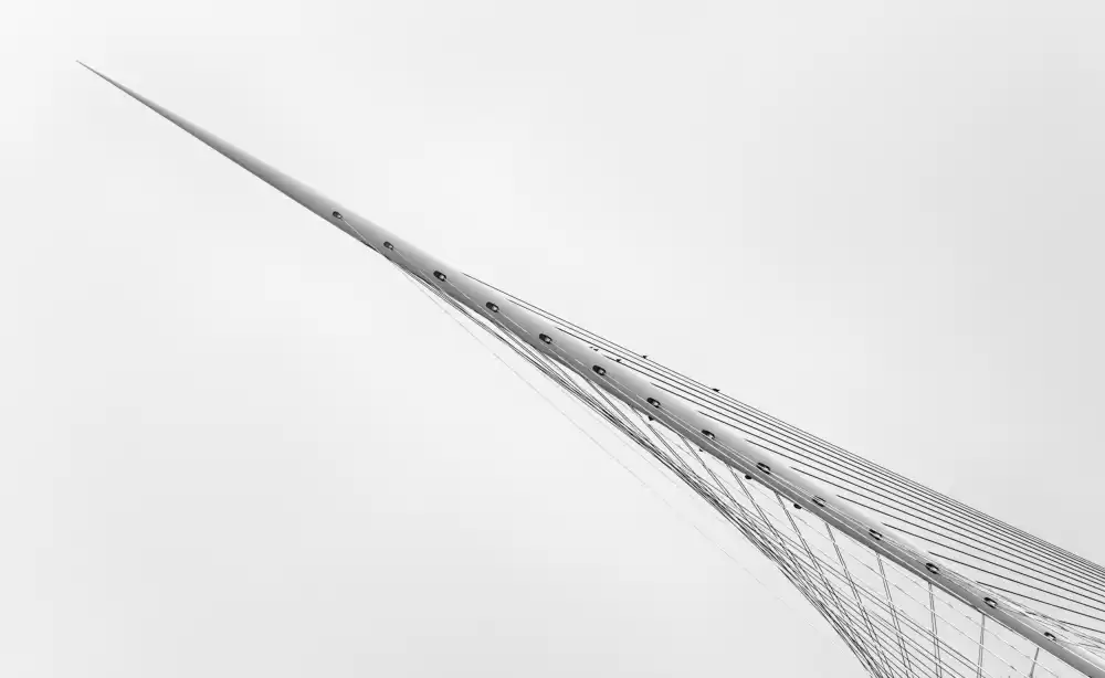 Wiel, van Jeroen: The Bridge