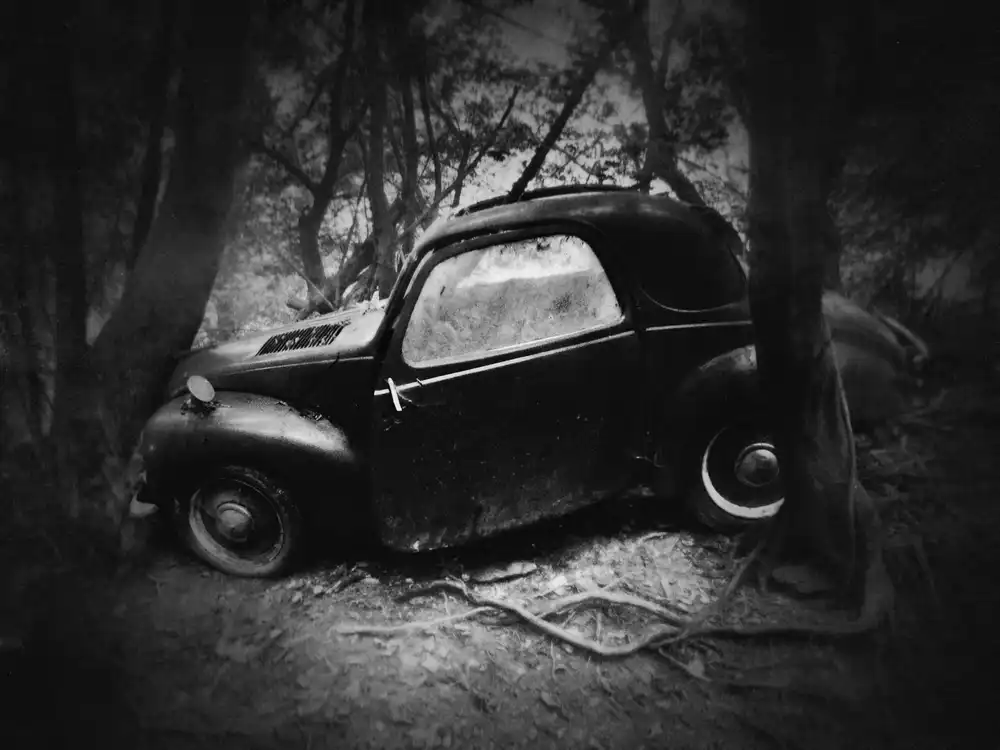 Droste, Holger: Topolino