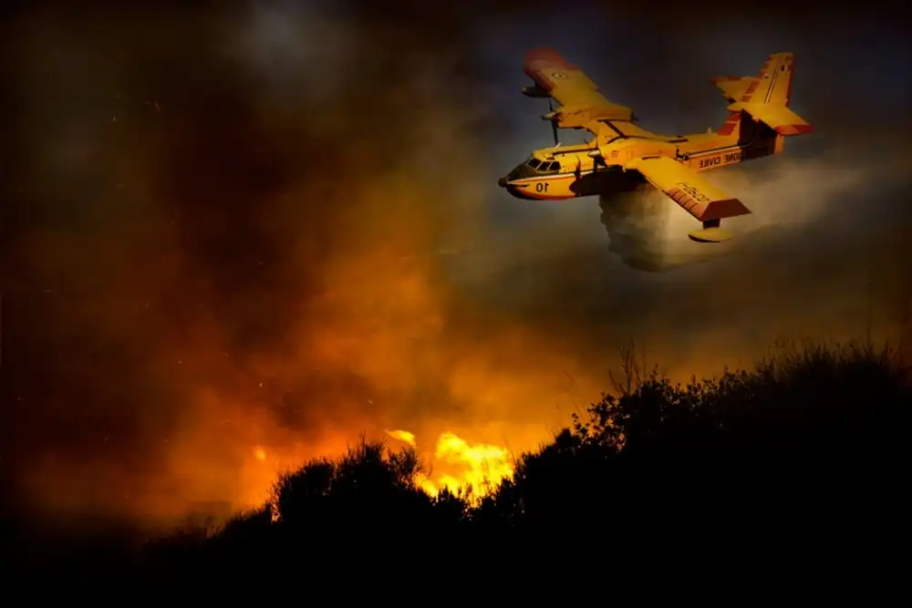 Grambone, Antonio: Incendio nel Parco Nazionale del Cilento #3