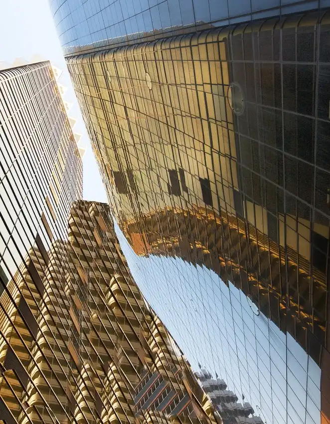 Pearson, Wayne: Reflexní konflikt