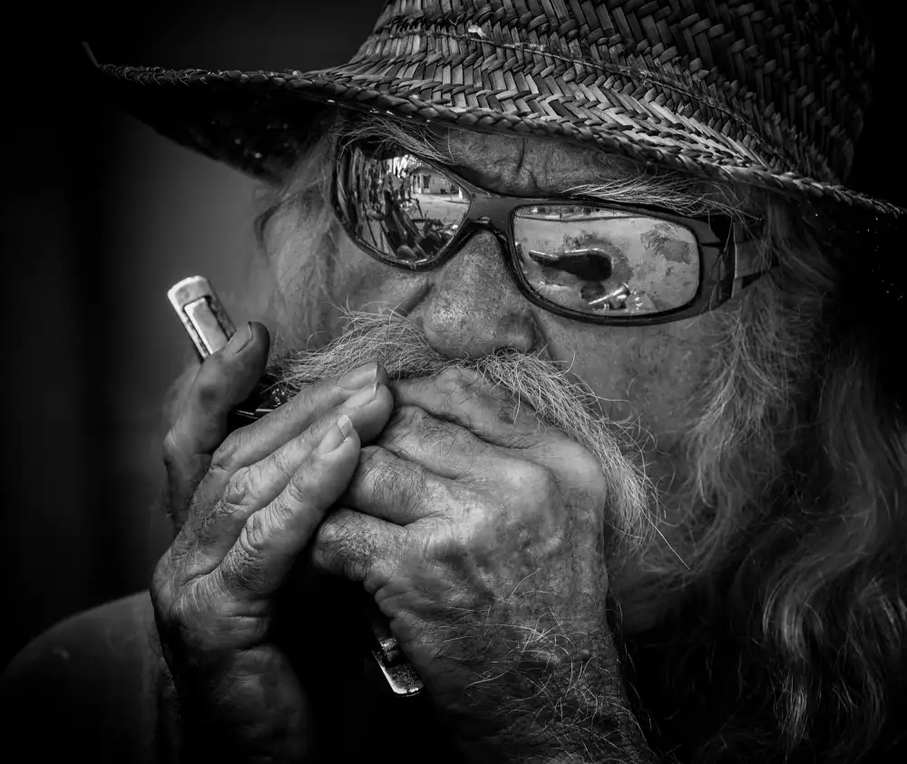 Cypel, Kirk: Dave joue de la harpe