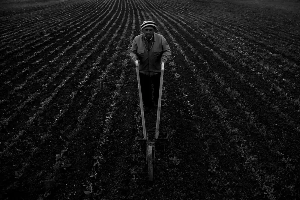 umitbinzet: Farmář do řady