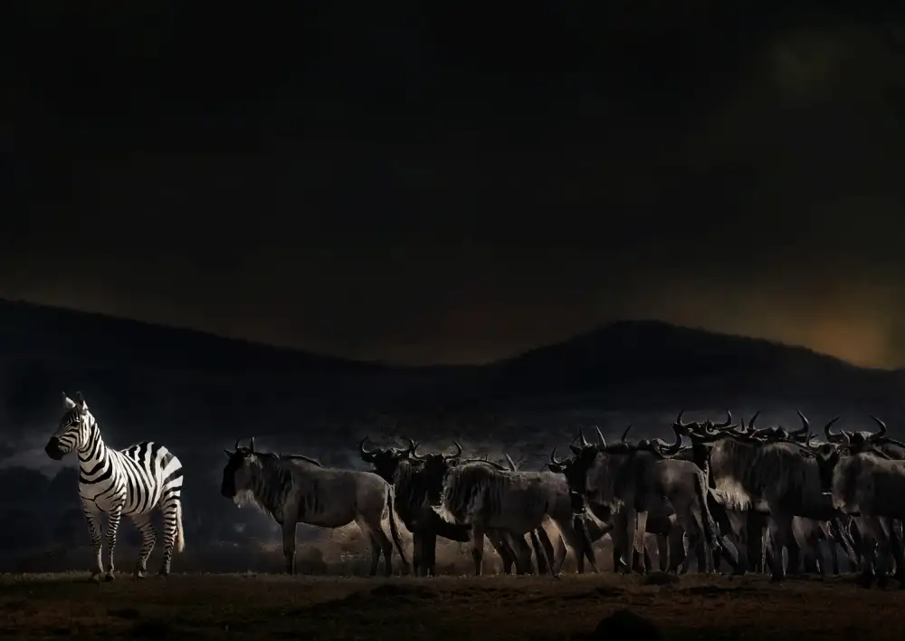Flour, Piet: Ein Abend in Kenia
