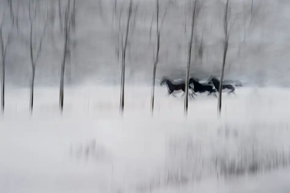 Malovrh, Milan: drei