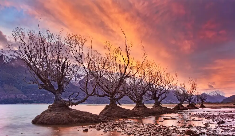 Zhang, Yan: Glenorchy v ohni