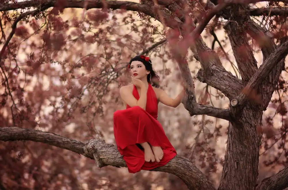 Andelman, Katie: sogni
