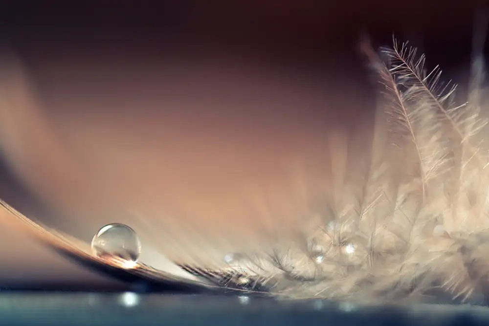 Doronin, Dmitry: Historias de gotas