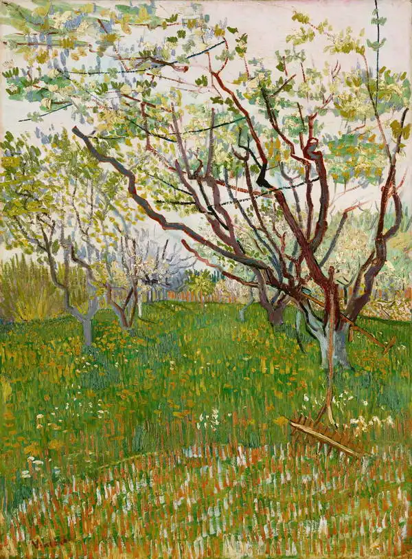 Gogh, Vincent van: Kvetoucí sad