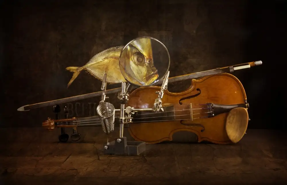 Barkow, Brig: Fish and violin