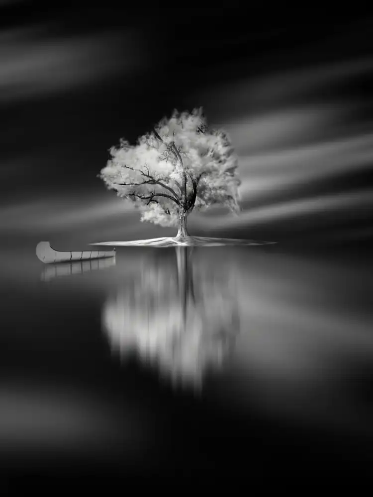 Senechal, David: Quiet
